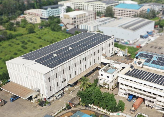 Daman Plant